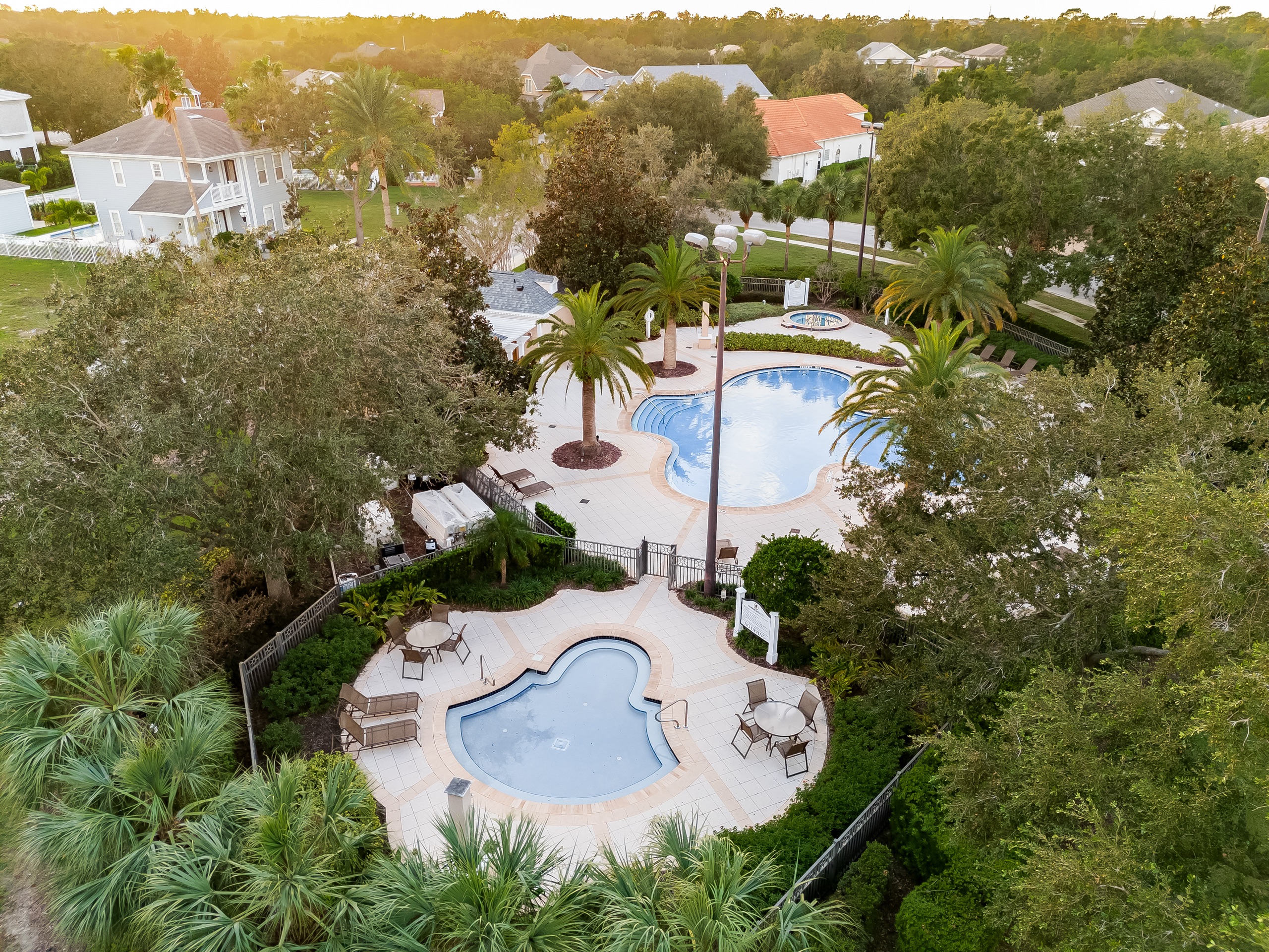 The community resort pool and spa framed by palms
