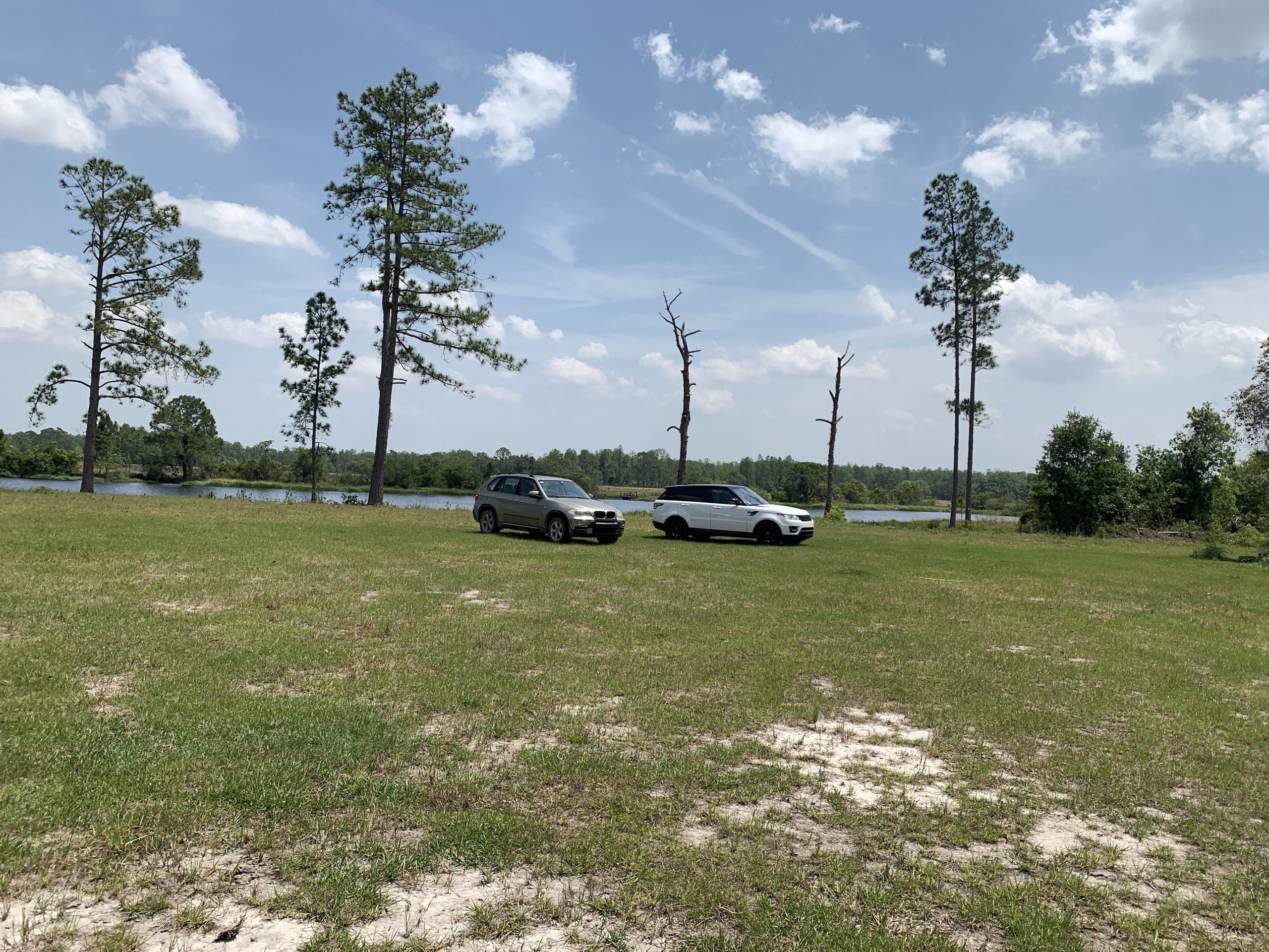 Vehicles parked on an open lakeside homesite among tall pines