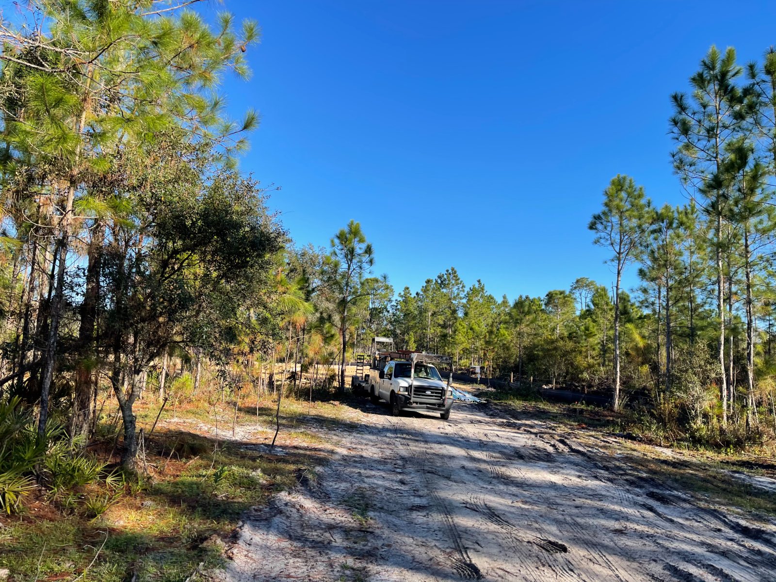 Cleared and staked lot in the pines