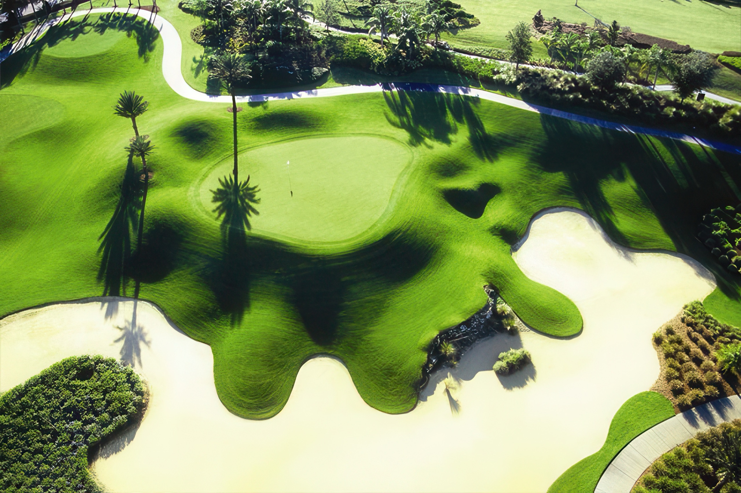 Aerial view of a Reunion championship green ringed by palms and bunkers